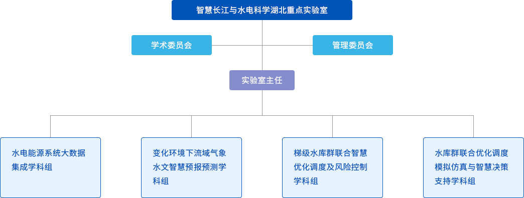 조직 구조